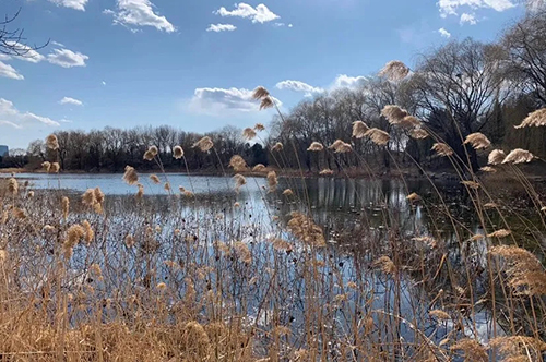 3.webp.jpg 3.webp.jpg